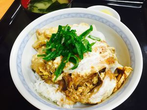 ハイブリッドかつ丼